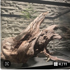 流木 アクアリウム 爬虫類 ハンドメイド テラリウムNo.32の画像