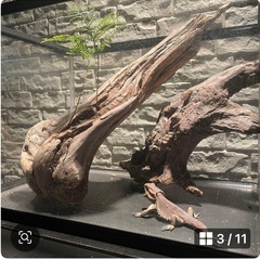 流木 アクアリウム 爬虫類 ハンドメイド テラリウムNo.32の画像