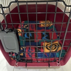 【中古品】ペット用　キャリー　赤　の画像
