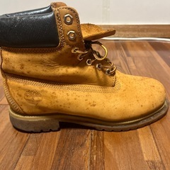 ティンバーランド
の画像