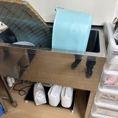 決まりました！！の画像