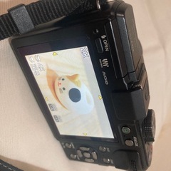 ミラーレス一眼レフカメラ　DMC-GX1 の画像