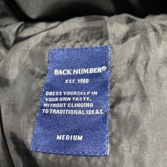 メンズ ダウンジャケット チェスターコート M     の画像