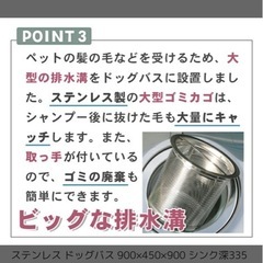 決まりました！！の画像