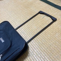 新品キャリーバッグの画像