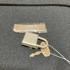 新品キャリーバッグの画像