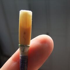 オーボエリード作製教室　アトリエ葦の音　つくばエクスプレス線セントラルパーク駅から徒歩3分以内でレッスン。初心者からシニアまで歓迎します。リード調整の仕方や最初からリードを作りたい方、そして最終目的である楽に演奏する方法を優しくお教えします。通常レッスン1時間5000円。営業時間　平日11時から21時半、土曜日11時から15時、日曜日11時から21時半。の画像