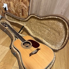 Elioth アコースティックギター　マグナムロックペグ改　ハードケース付きの画像