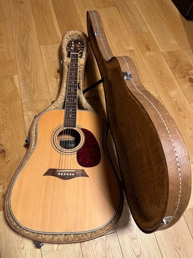 Elioth アコースティックギター　マグナムロックペグ改　ハードケース付き