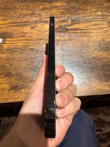 おもちゃ iPhone13promax 128gb
