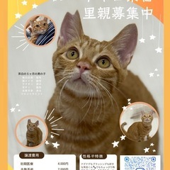 「ずっとのお家」を探しています - 里親募集