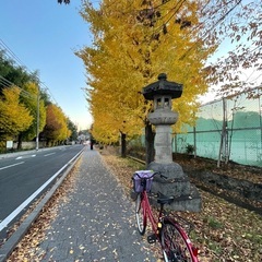 中古自転車の画像