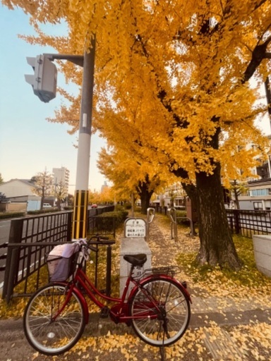 中古自転車
