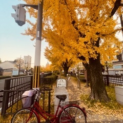 中古自転車の画像