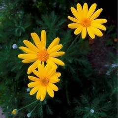 🎤ノンアルコールでハーモニーを楽しもう☕️立川 新宿Karaok...