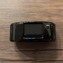 【美品】トイカメラ ハリネズミguru Final2011 動作確認済の画像