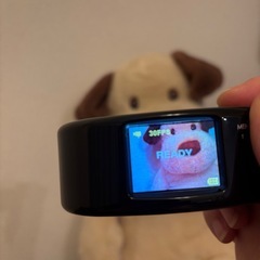 【美品】トイカメラ ハリネズミguru Final2011 動作確認済の画像