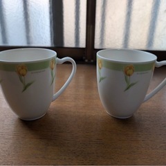 飲食店用　お重など　の画像