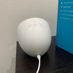 アレクサの画像