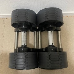 可変式ダンベル　20kg FLEXBELL フレックスベル　2個セットの画像