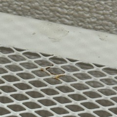 IKEA 棚 ラック レールベリの画像