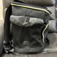 ペットキャリーバッグ　犬猫　リュックの画像