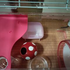 ハムスターケージの画像