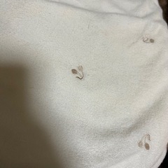 プッパプーポ抱っこ布団2枚セットの画像