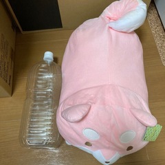 たるしば(ピンク)の画像