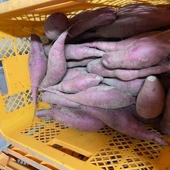 第5弾　紅はるか　規格外　お早めにご連絡下さい。数量限定　の画像