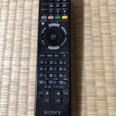 【ジャンク】SONY       46型
の画像