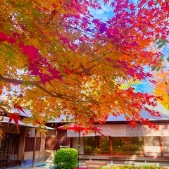 【12/7(日)】紅葉お茶室ヨガ【ヨガ初心者さんOK】 の画像