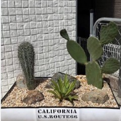 ドラム缶リメイクプランター（ハーフカット）の画像