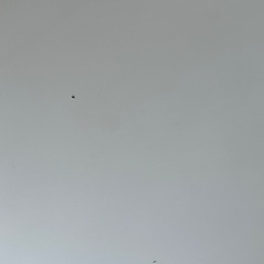 テーブルと椅子2セットの画像