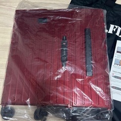 アンドフラット　折りたためるキャリーバッグ　新品の画像