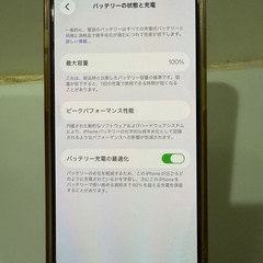 Apple iPhone 14 Pro シルバー   バッテリー100%の画像