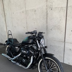 xl883n  ハーレー　スポーツスターの画像