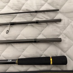 24ラテオ&24
ルビアスセットの画像