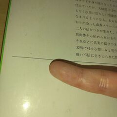 『チャタレイ夫人の恋人』ロレンス　新潮文庫②の画像