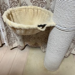 キャットポールの画像