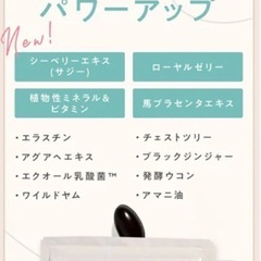 新品/グラミープラスの画像