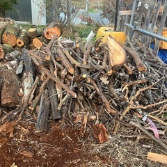 無償で譲ります　薪材・原木・木材の画像