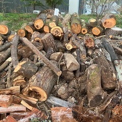 無償で譲ります　薪材・原木・木材の画像