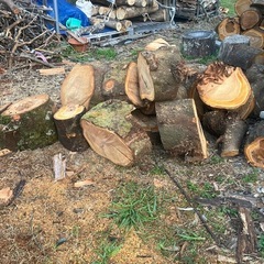 無償で譲ります　薪材・原木・木材の画像