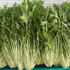 無農薬野菜の画像