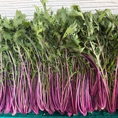 無農薬野菜の画像