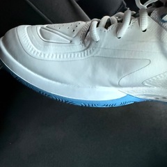 ミズノ　バドミントンシューズ
の画像