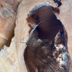 切り株　オブジェ　花台の画像