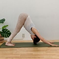 相模大野で中高年に優しいヨガ、あります！の画像