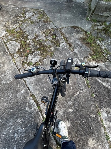 スポーツ 子供自転車 ルイガノ 20 LOUIS GARNEAU 6段変速 